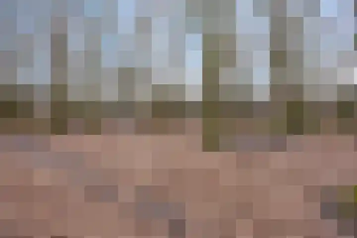 Valreep 9 Veenendaal thumbnail 44