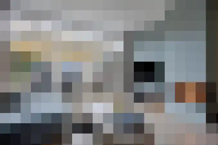 Valreep 9 Veenendaal thumbnail 5
