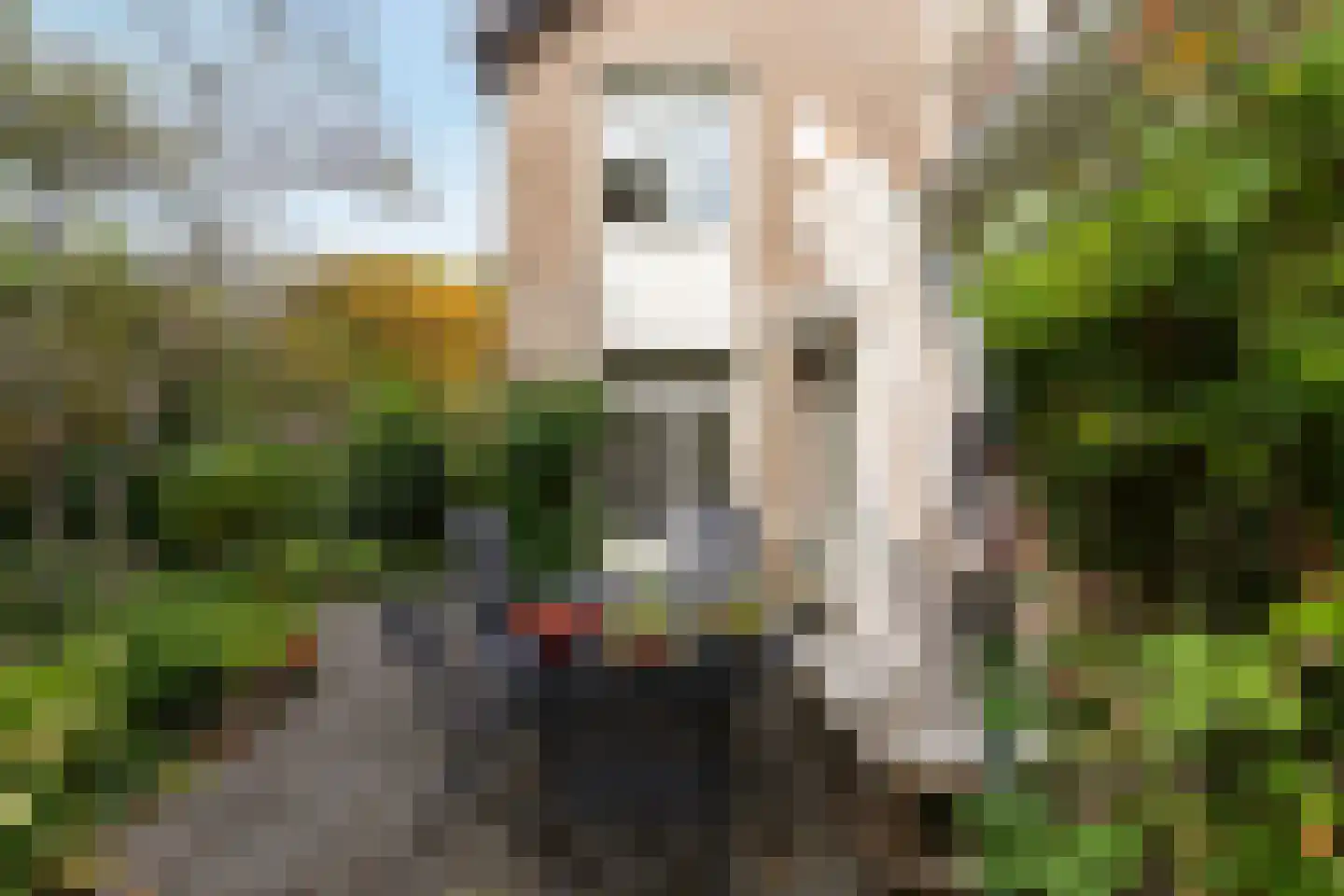 Valreep 99 Amstelveen thumbnail 48