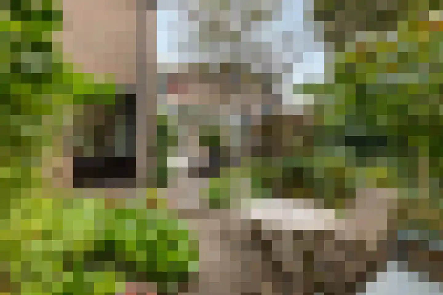 Valreep 99 Amstelveen thumbnail 53