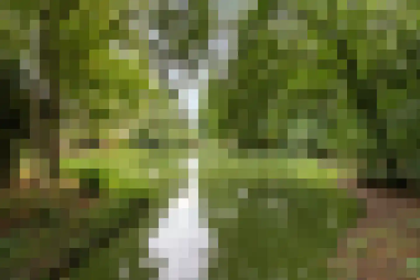Valreep 99 Amstelveen thumbnail 65