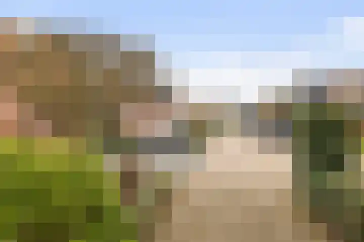 Valsakker 15 Aalden thumbnail 10