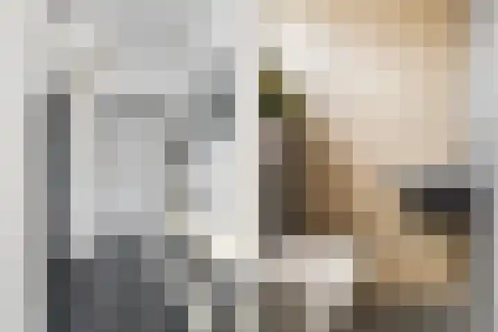 Valsakker 15 Aalden thumbnail 11