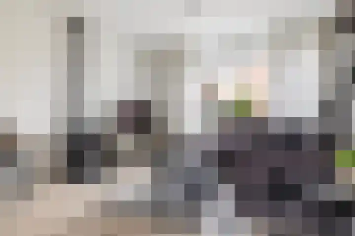Valsakker 15 Aalden thumbnail 12