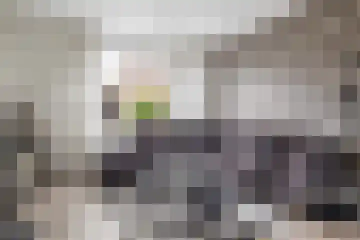 Valsakker 15 Aalden thumbnail 14