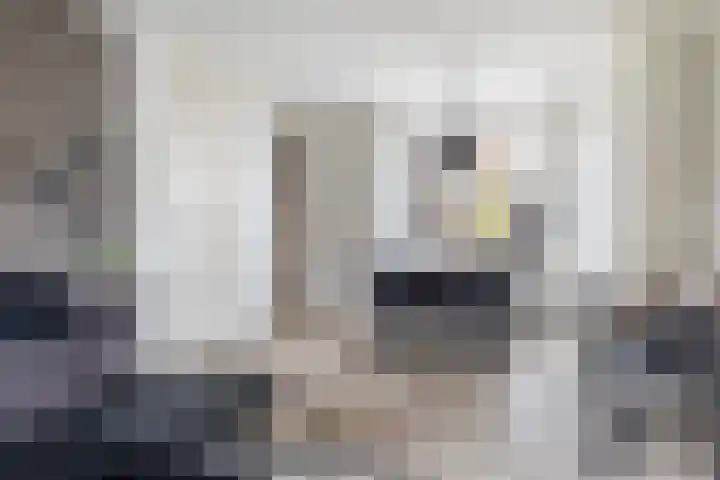 Valsakker 15 Aalden thumbnail 15