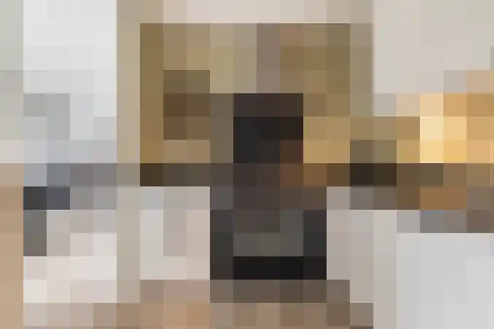 Valsakker 15 Aalden thumbnail 19