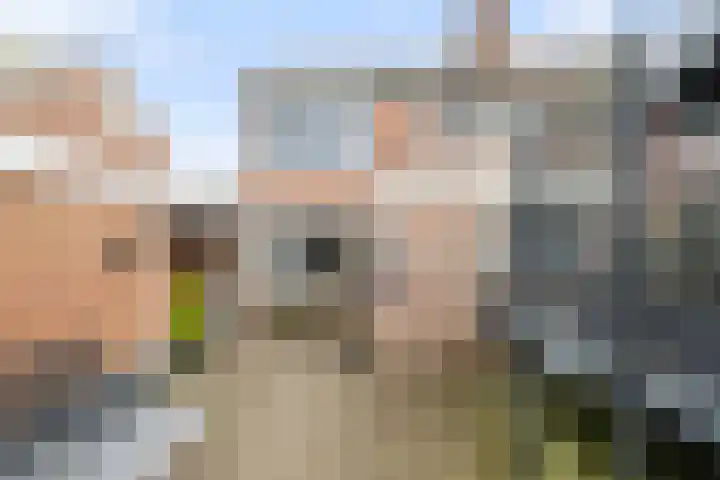 Valsakker 15 Aalden thumbnail 32