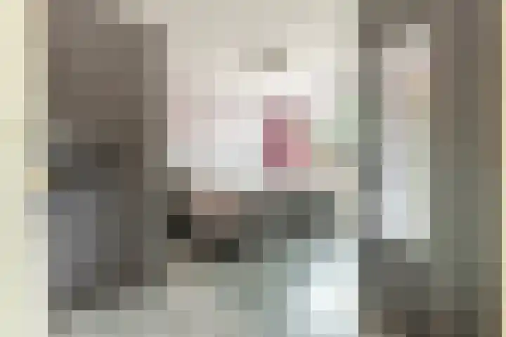 Valsakker 21 Aalden thumbnail 4