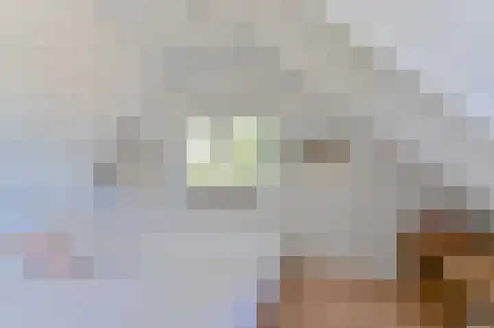 Valtherblokken-Zuid 37 Valthermond thumbnail 41