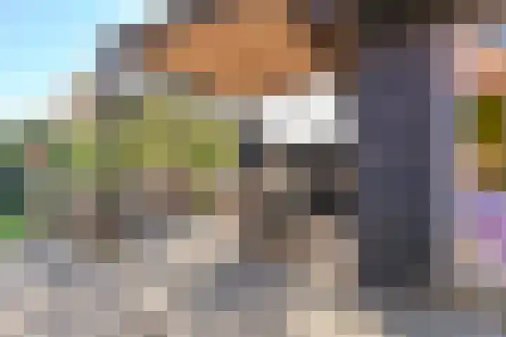 Valtherblokken-Zuid 37 Valthermond thumbnail 52