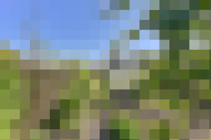 Valtherblokken-Zuid 37 Valthermond thumbnail 57