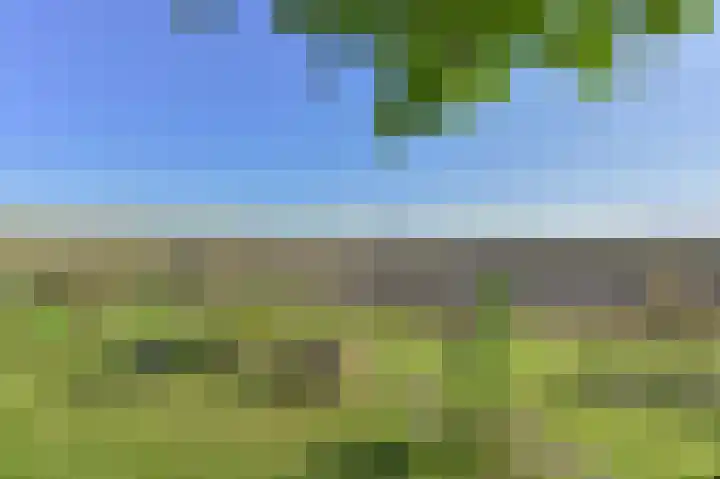 Valtherblokken-Zuid 37 Valthermond thumbnail 61