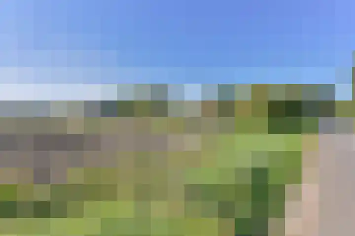 Valtherblokken-Zuid 37 Valthermond thumbnail 62