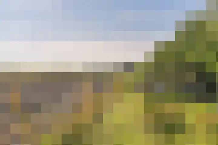 Valtherblokken-Zuid 37 Valthermond thumbnail 63