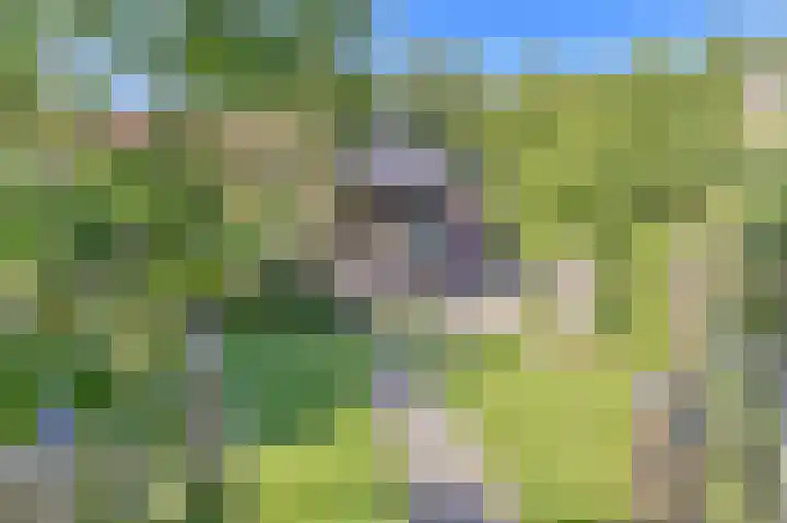 Valtherblokken-Zuid 37 Valthermond thumbnail 66