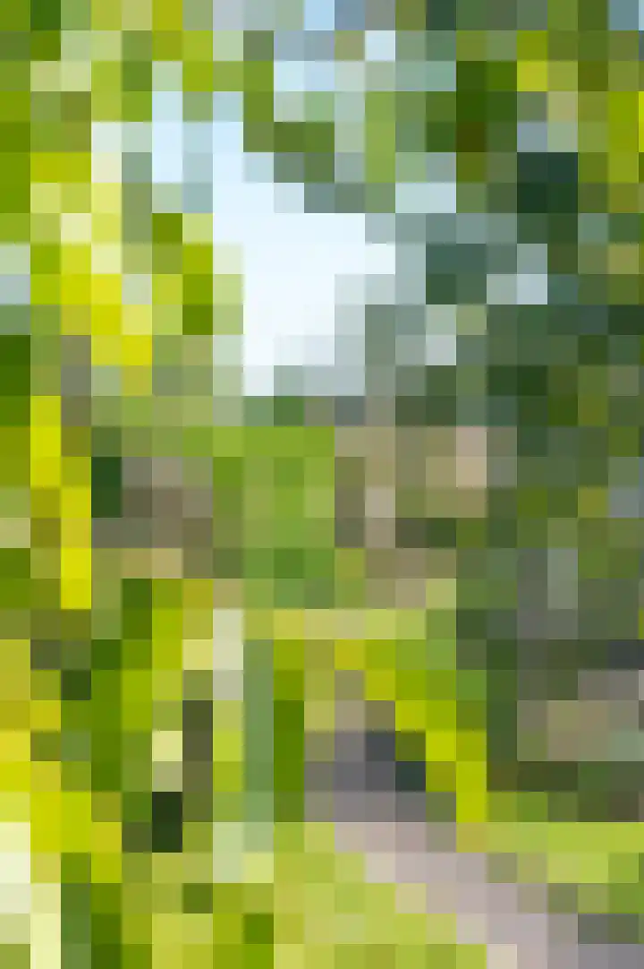 Valtherblokken-Zuid 37 Valthermond thumbnail 67