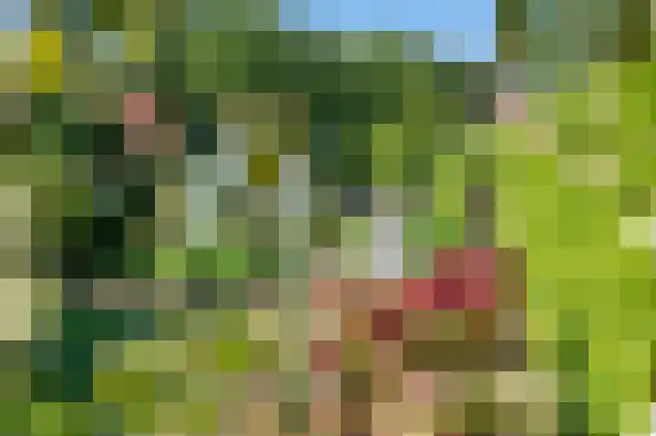 Valtherblokken-Zuid 37 Valthermond thumbnail 68