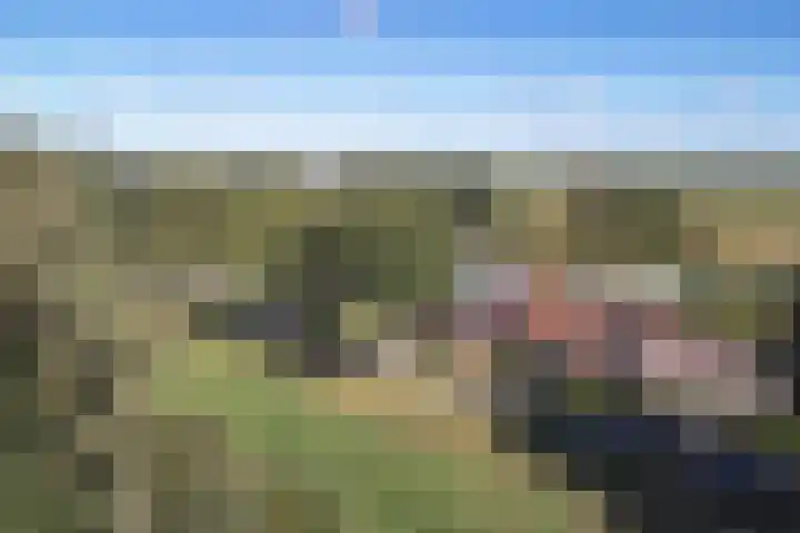 Valtherblokken-Zuid 37 Valthermond thumbnail 69