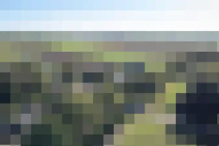 Valtherblokken-Zuid 37 Valthermond thumbnail 70