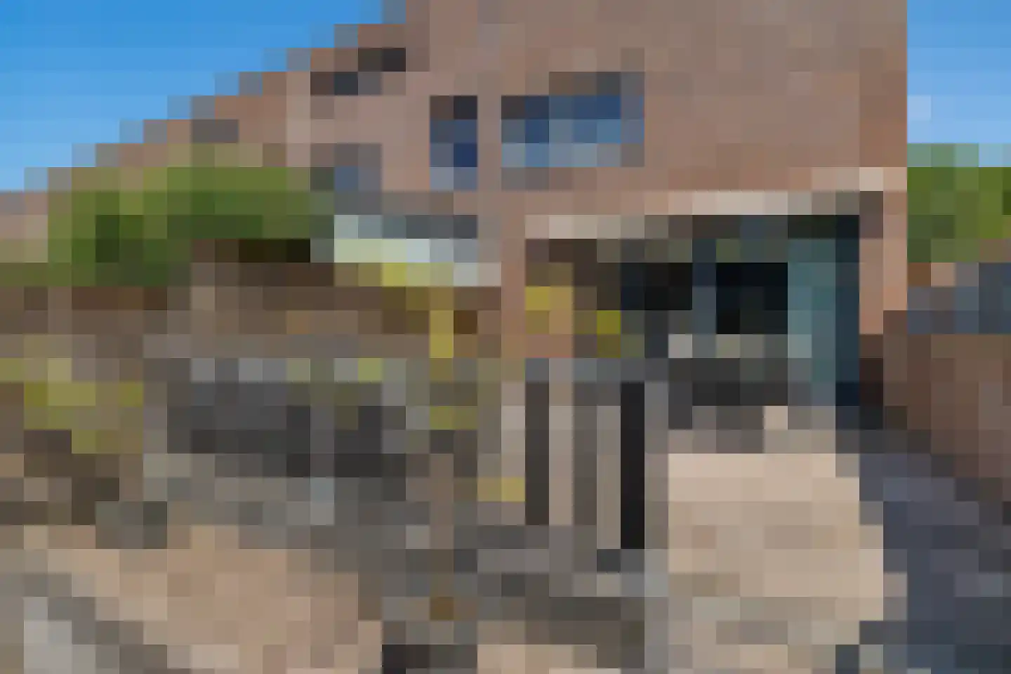 Valtherlaan 204 Emmen thumbnail 33