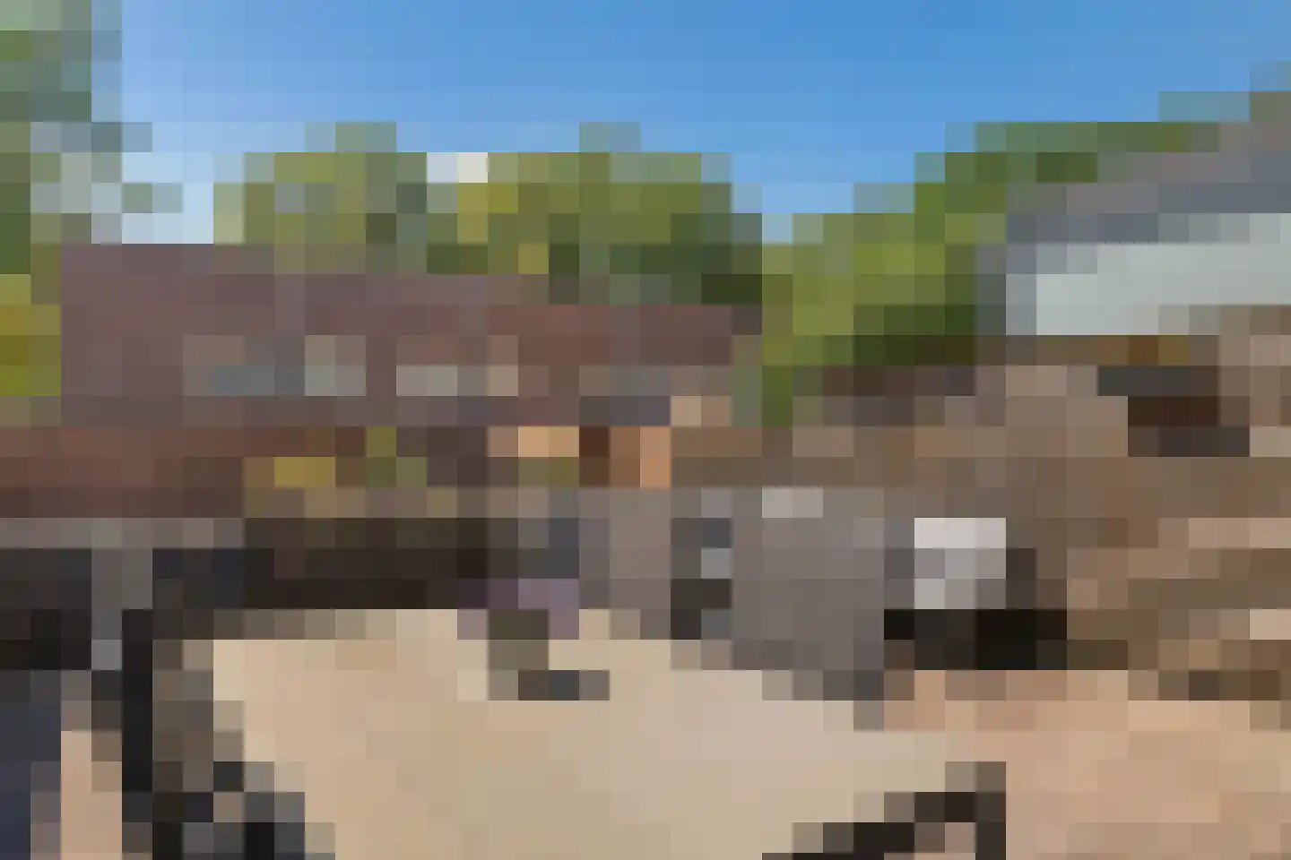 Valtherlaan 204 Emmen thumbnail 35