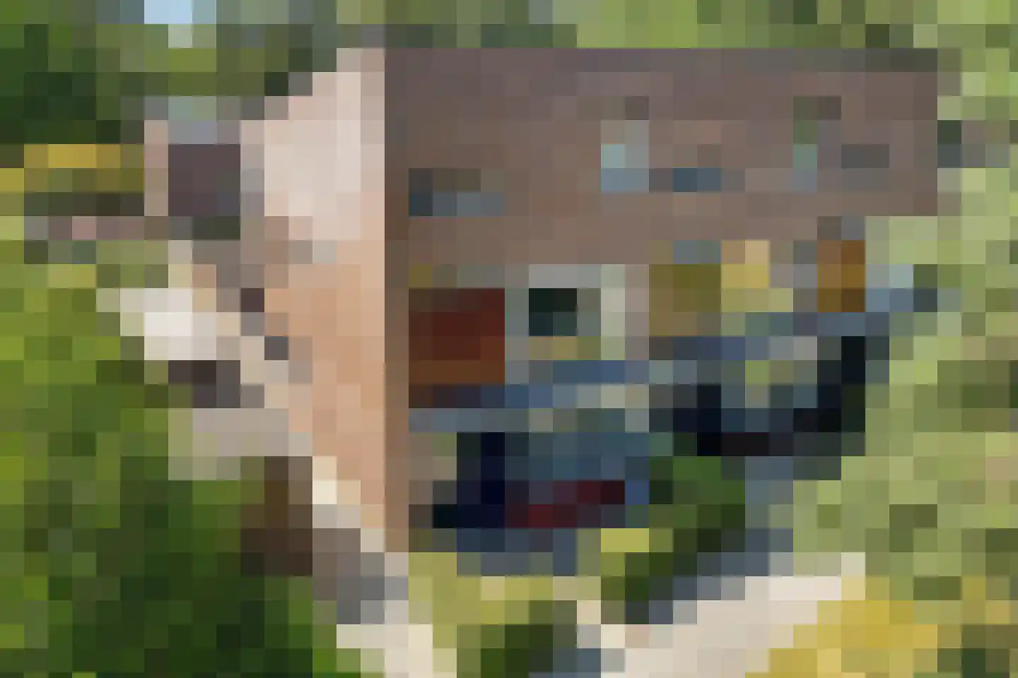 Valtherlaan 204 Emmen thumbnail 38
