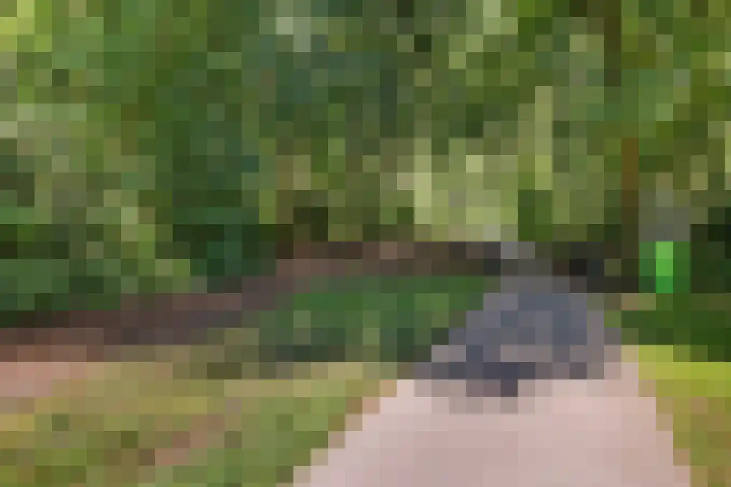 Valtherlaan 204 Emmen thumbnail 6