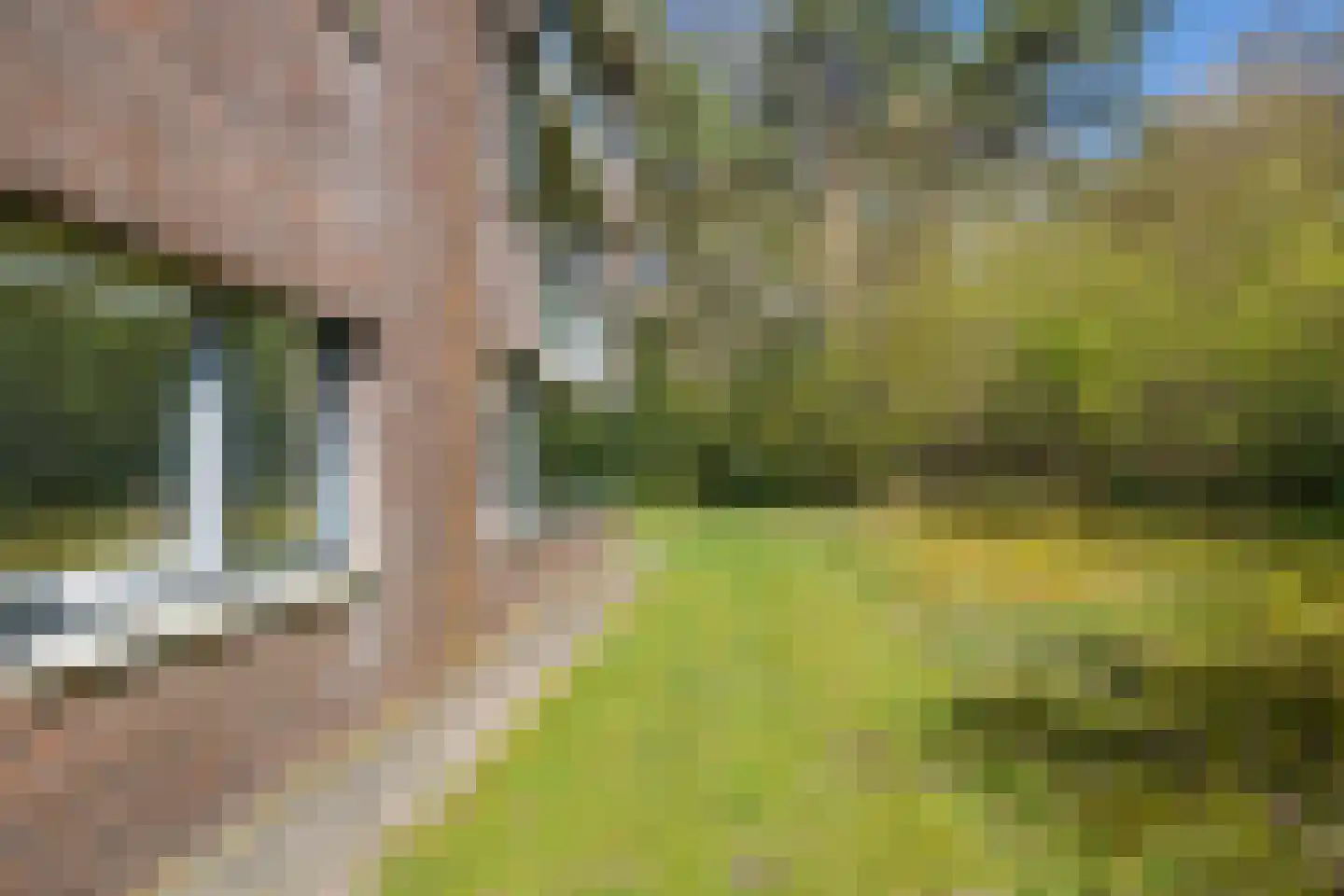 Valtherlaan 215 Emmen thumbnail 33