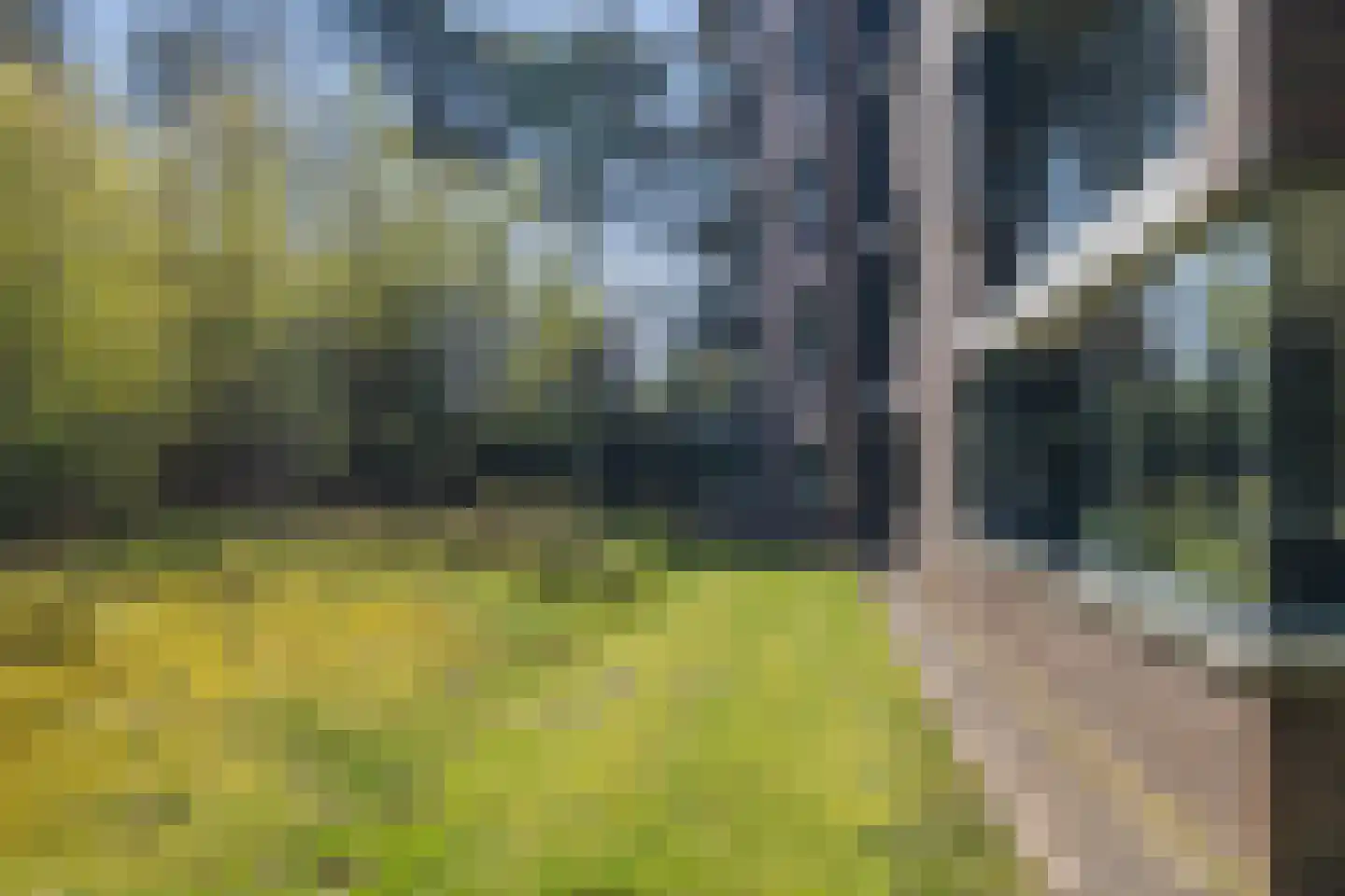 Valtherlaan 215 Emmen thumbnail 35