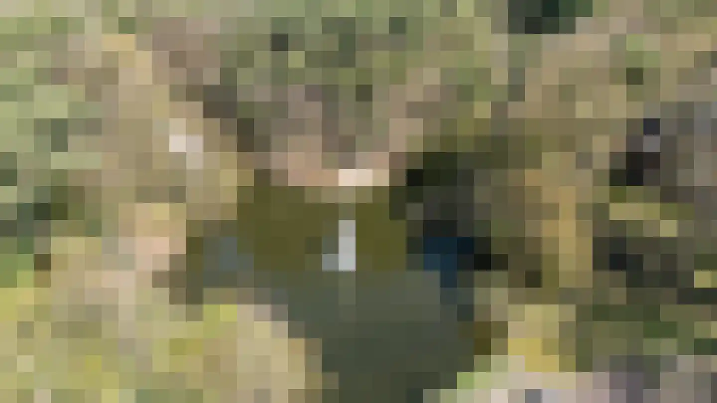 Valtherlaan 215 Emmen thumbnail 37