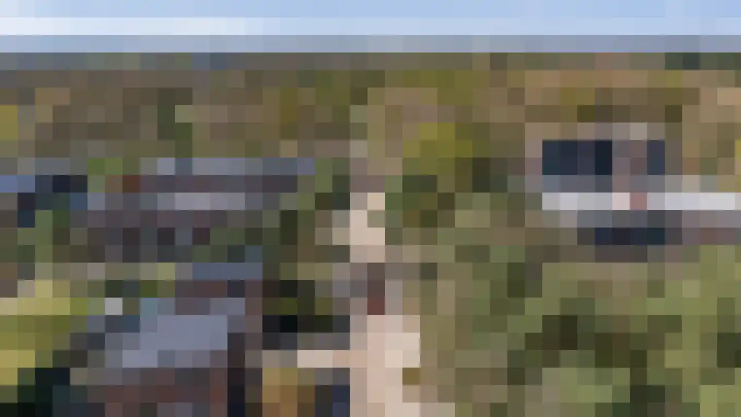 Valtherlaan 215 Emmen thumbnail 38
