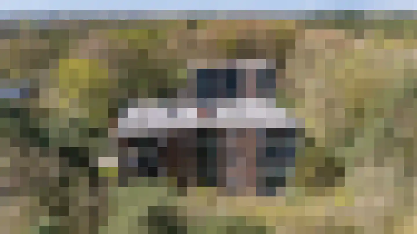 Valtherlaan 215 Emmen thumbnail 7
