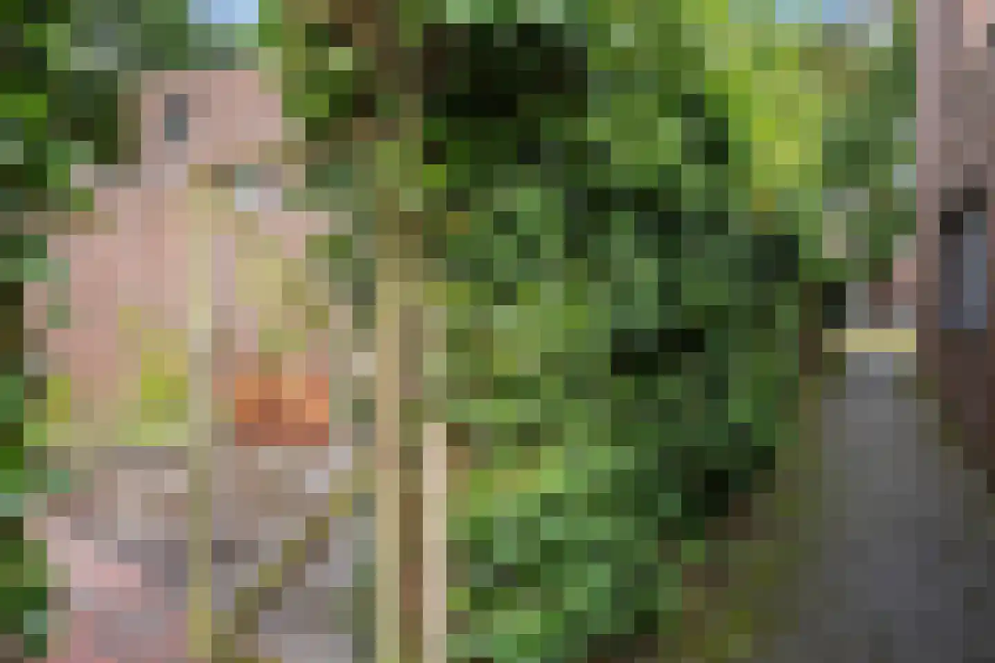 Valtherlaan 222 Emmen thumbnail 36