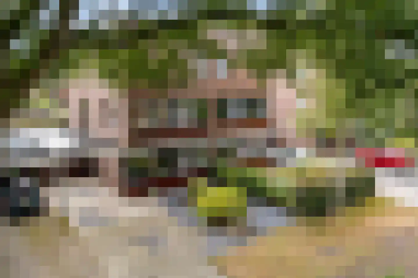 Valtherlaan 222 Emmen thumbnail 37