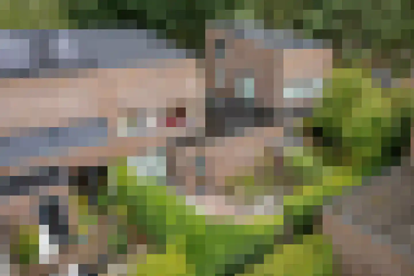Valtherlaan 222 Emmen thumbnail 39