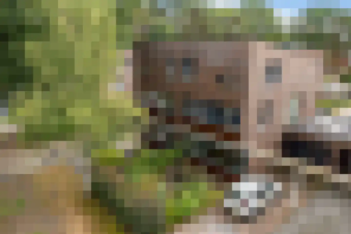 Valtherlaan 222 Emmen thumbnail 40
