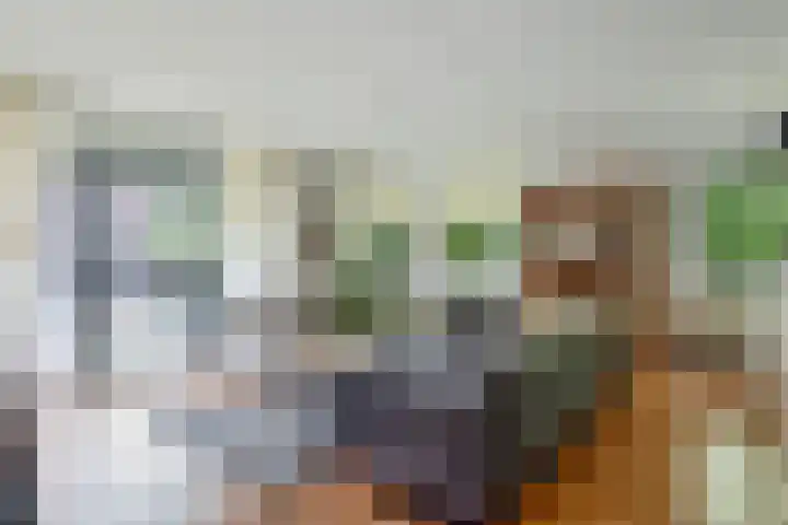 Valtherlaan 223 Emmen thumbnail 13