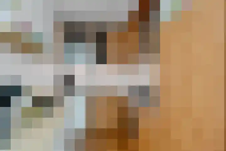 Valtherlaan 223 Emmen thumbnail 18
