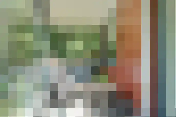 Valtherlaan 223 Emmen thumbnail 28