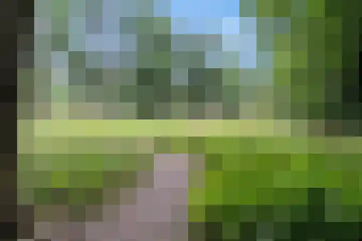 Valtherlaan 223 Emmen thumbnail 32
