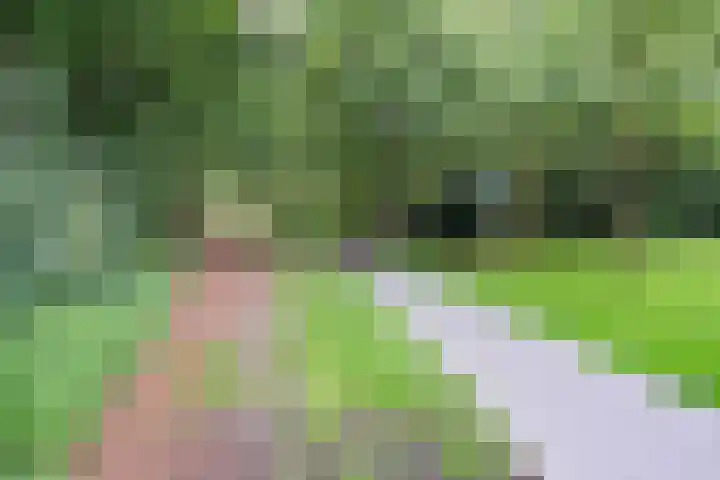 Valtherlaan 223 Emmen thumbnail 33