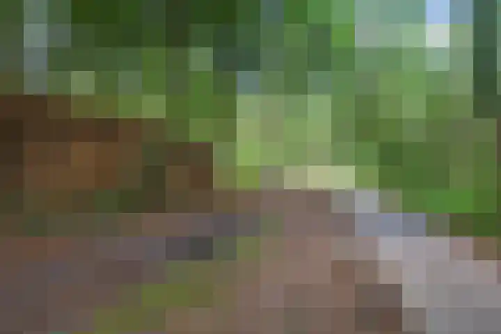 Valtherlaan 223 Emmen thumbnail 34
