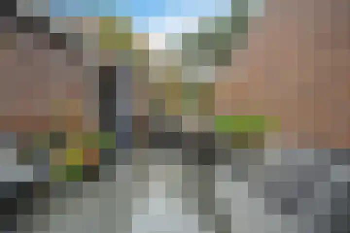 Valtherlaan 251 Emmen thumbnail 32