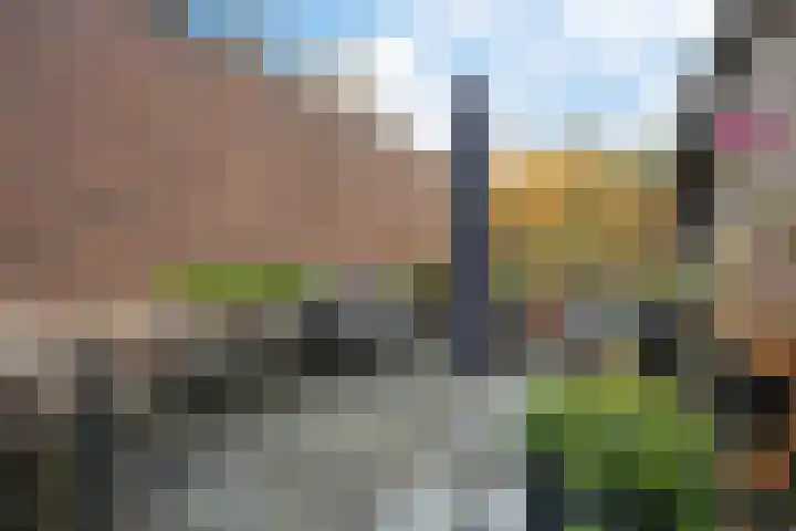 Valtherlaan 251 Emmen thumbnail 33