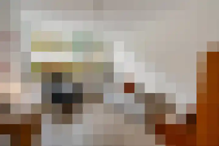 Valtherlaan 251 Emmen thumbnail 37