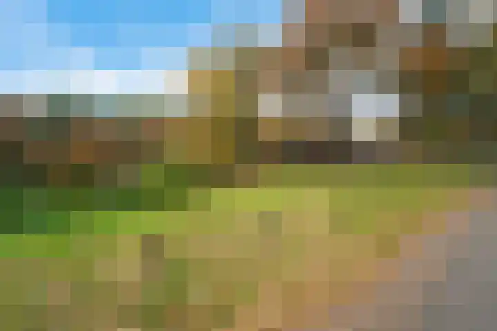 Valtherlaan 251 Emmen thumbnail 40
