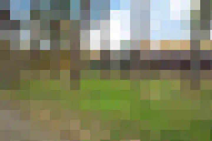 Valtherlaan 251 Emmen thumbnail 41