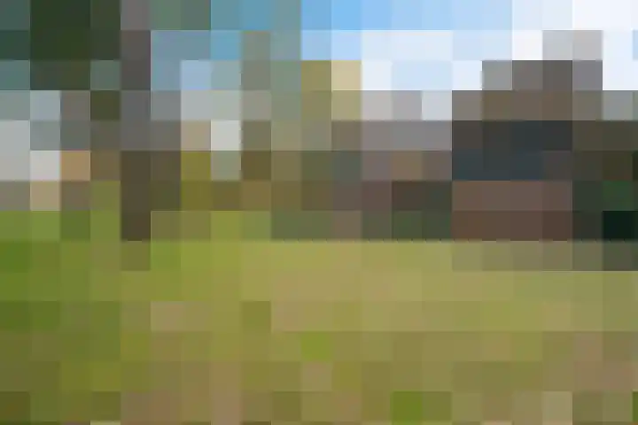 Valtherlaan 251 Emmen thumbnail 43