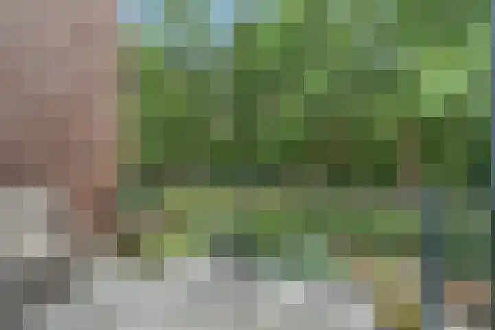 Valtherlaan 263 Emmen thumbnail 10